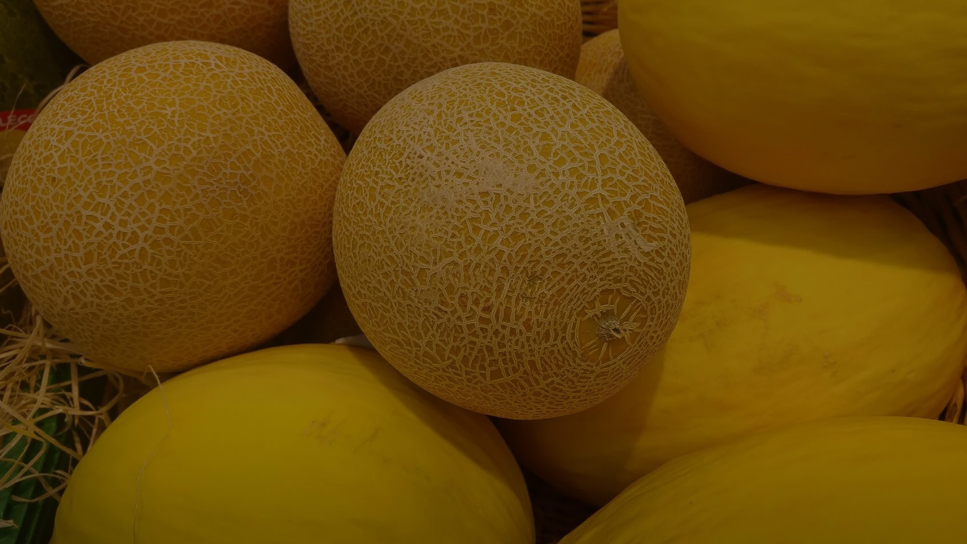 Cantaloupes and other melons