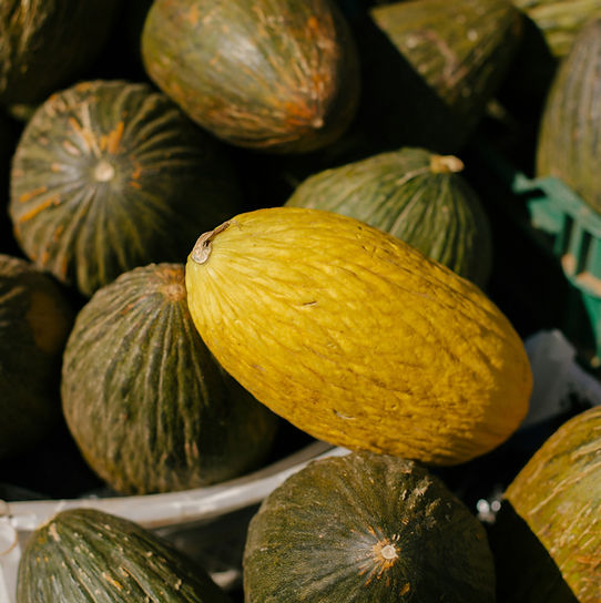Cantaloupes and other melons