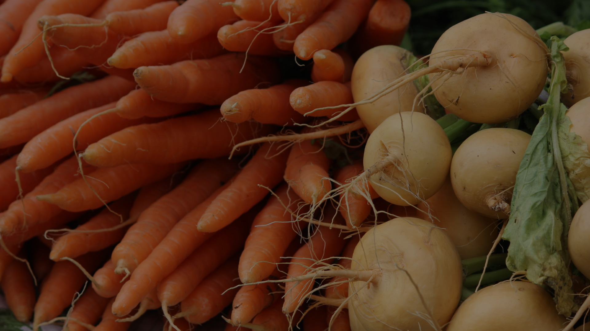 Carrots and turnips