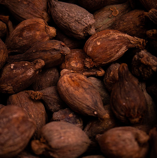 Cocoa beans