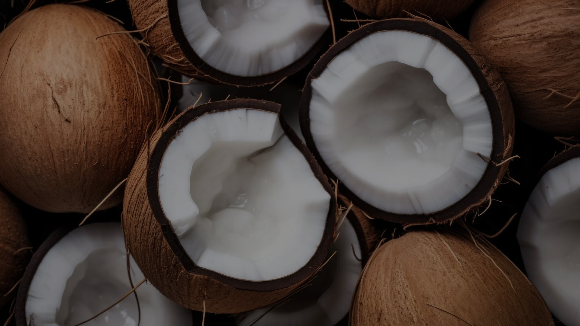 Coconuts, in shell