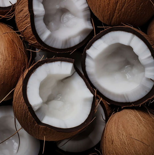 Coconuts, in shell
