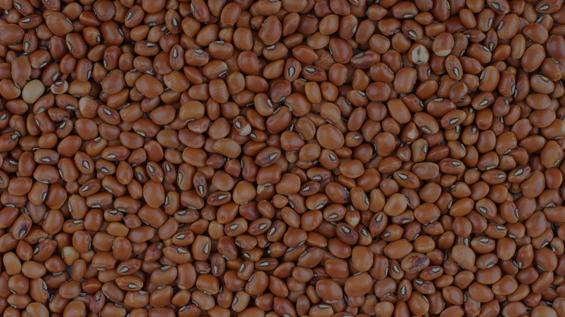 Cow peas, dry