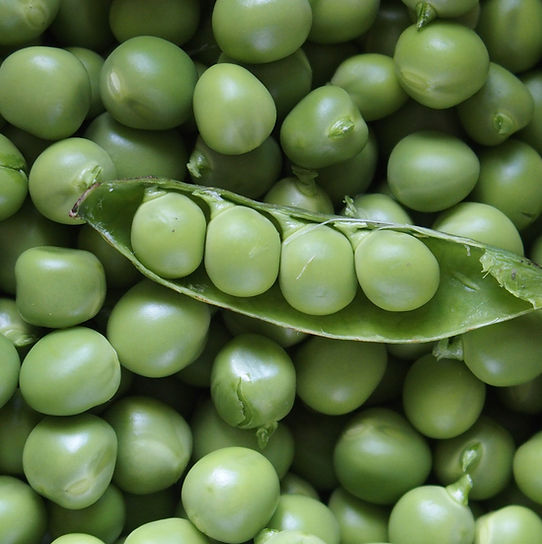 Cow peas, dry