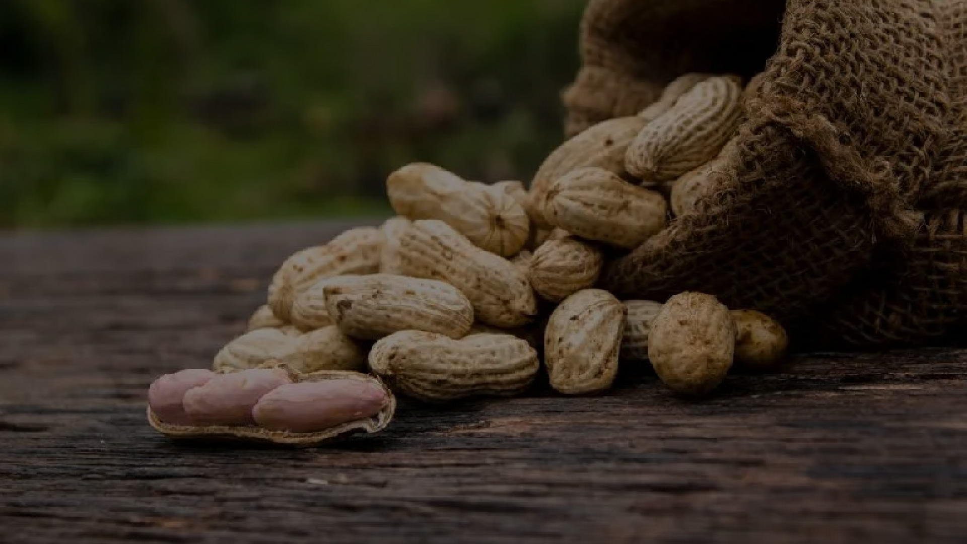 Groundnuts, excluding shelled
