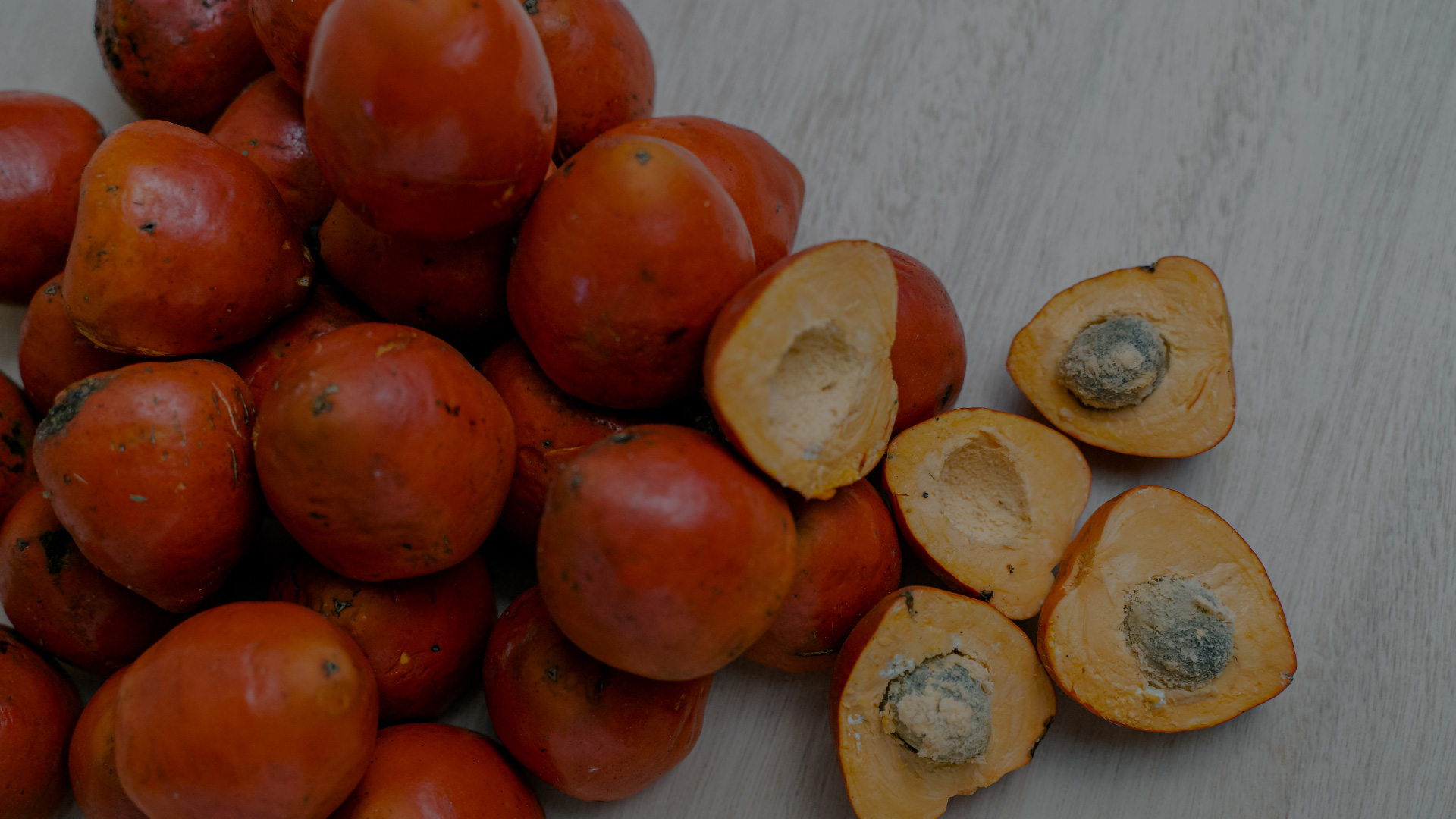 Oil palm fruit