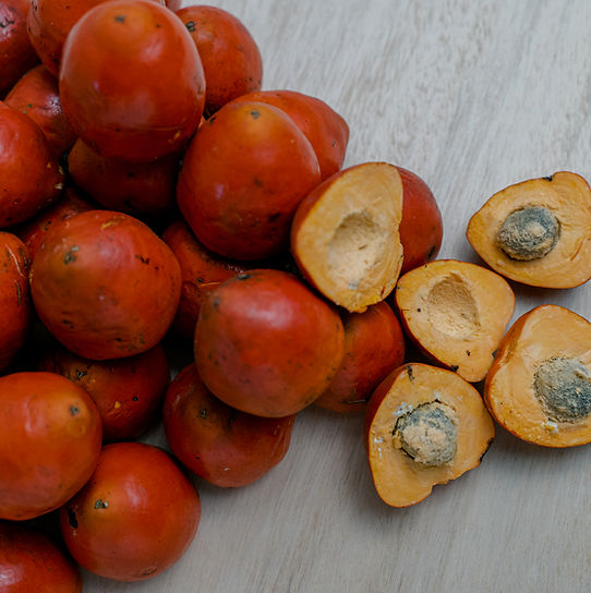 Oil palm fruit