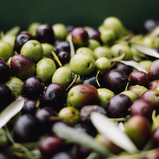 Olives