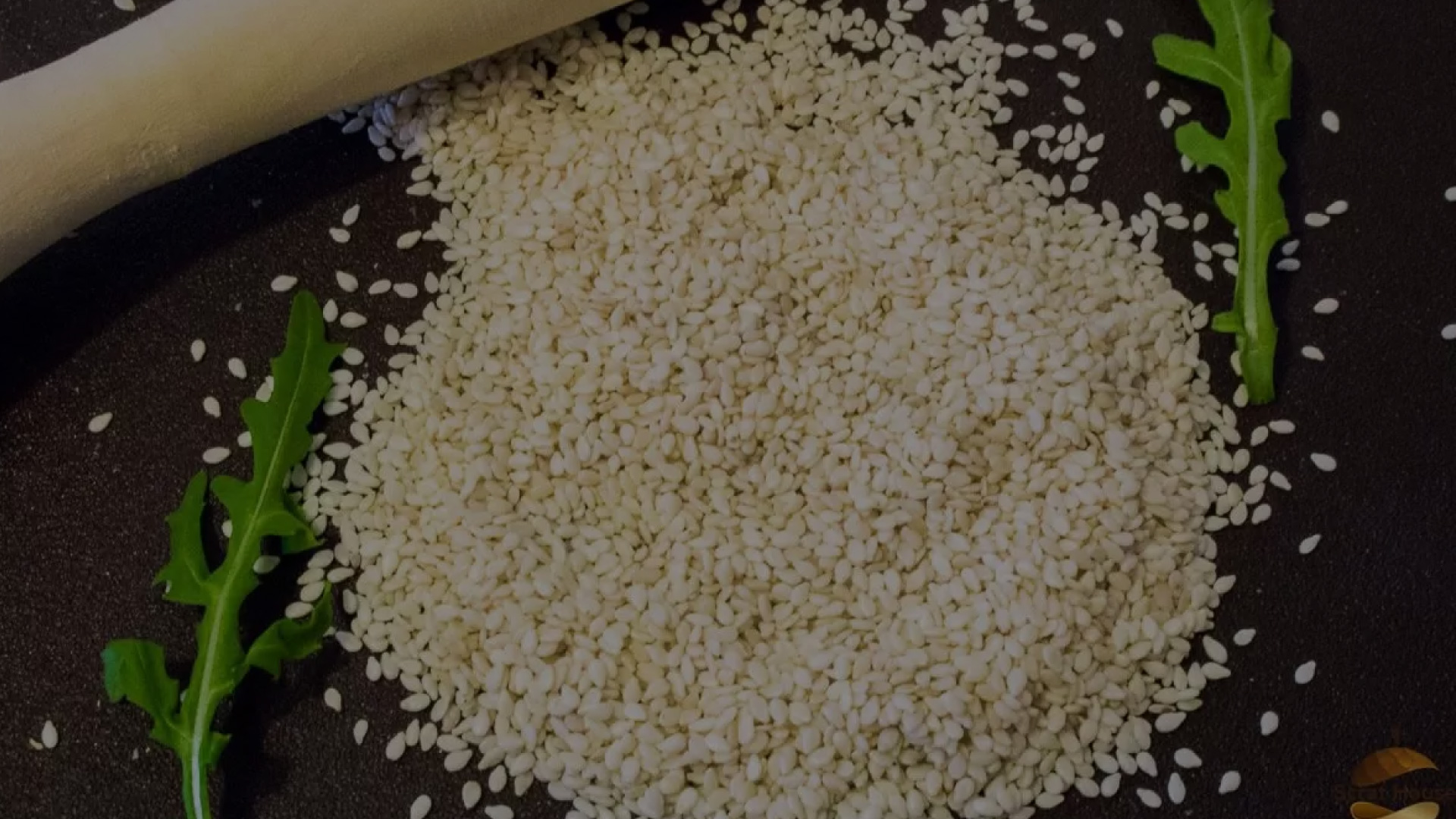Sesame seed