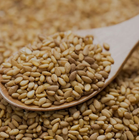 Sesame seed