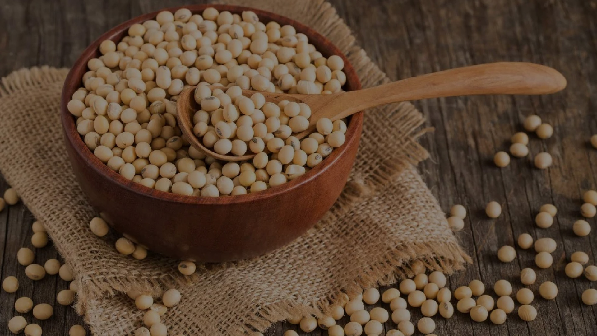Soya beans