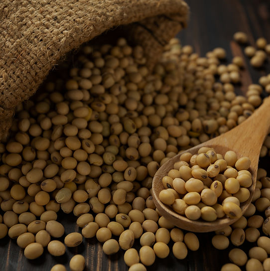 Soya beans