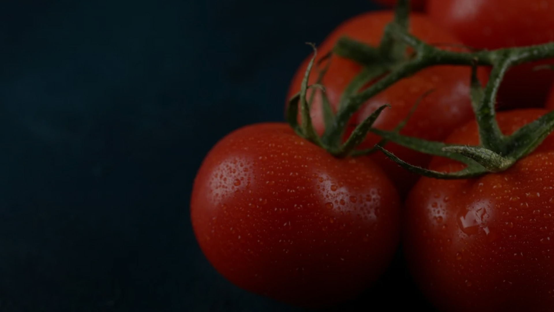 Tomatoes