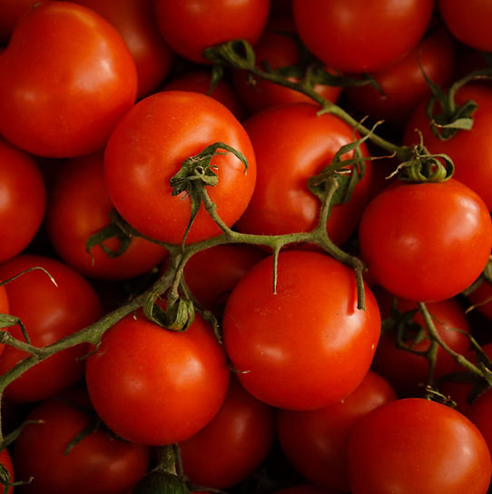 Tomatoes