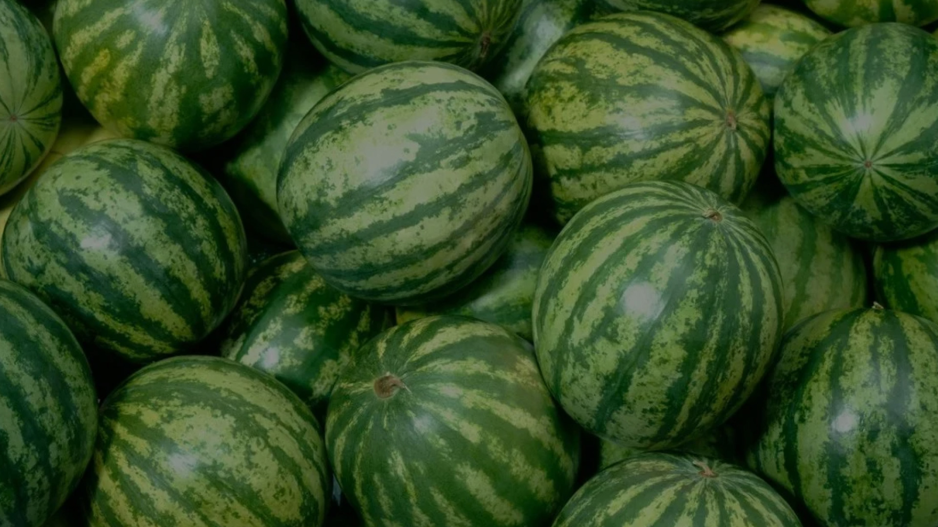 Watermelons